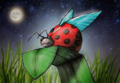 瓢虫 插图 草 甲虫 昆虫 自然 幻想 春天 天空 夜晚