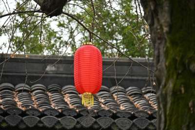 灯笼 中国新的一年 花园 节日 春节 农历新年