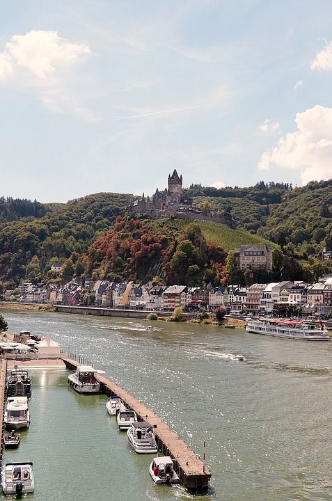 船舶 葡萄酒种植 葡萄园 Cochem 德国 赖克斯堡 摩泽尔
