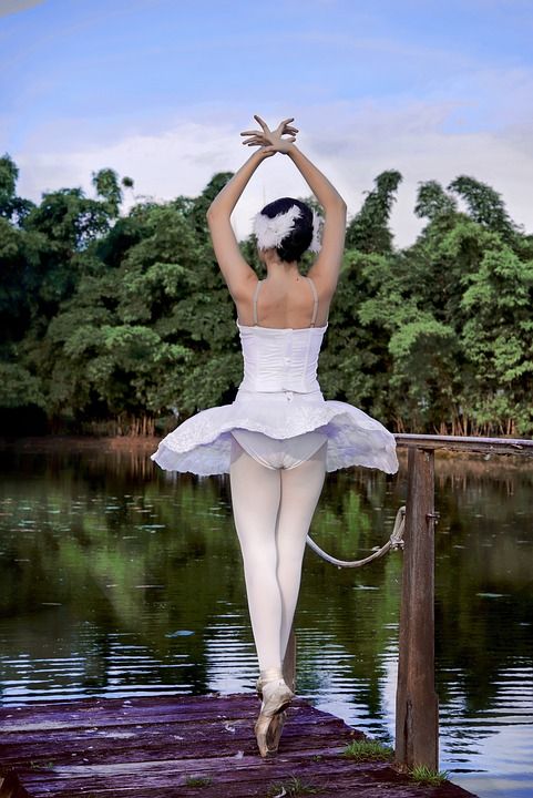 Balletistas 芭蕾舞团 公园 自然 舞蹈 湖 天鹅 跳舞
