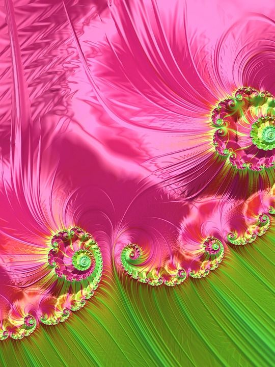 春天 抽象 分形 花 漩涡 花瓣 粉色的 绿色 氖 丝绸