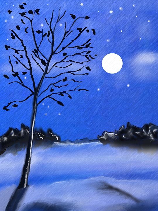 晚星 降雪 冬天 月亮 寒冷的 情绪