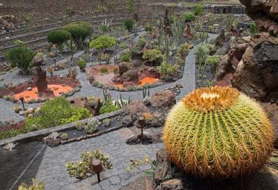 仙人掌花园 仙人掌 兰萨罗特岛 西班牙 非洲的旅游景点 Guatiza