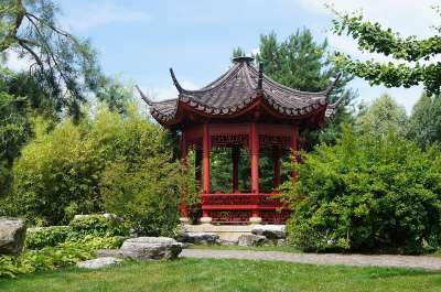展馆 中国人 绿色 景观 田园诗般的 展馆 中国人 中国人