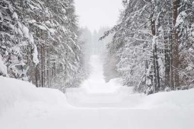 冬天 冬天路 雪 犁地 树 瑞典 冬季景观 凉爽的 白 路