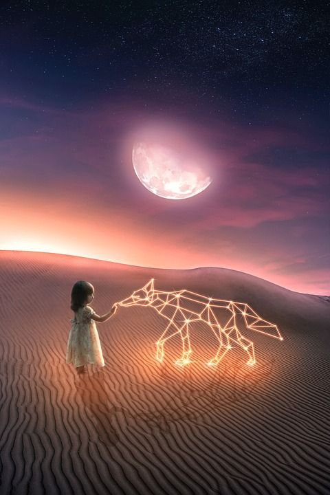 一只狐狸 女孩 沙漠 月亮 日落 辉光 星座 照相馆 幻想