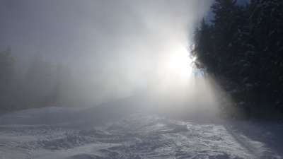 阿尔高 阿尔卑斯山 多雾路段 太阳 冬天 雪 树木