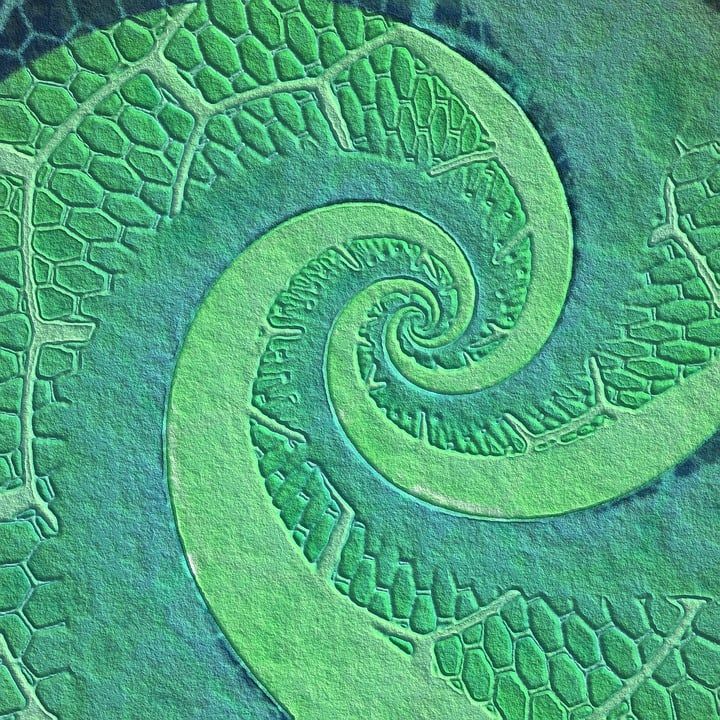 背景, 剪贴簿, 纸, 质地, 抽象, 优质的, 装饰性的, 页, 装饰, 设计