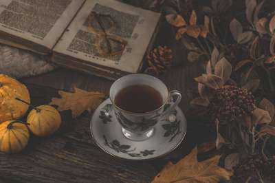 茶碗 茶 秋季 秋天的颜色 季节 十月 南瓜 读 书