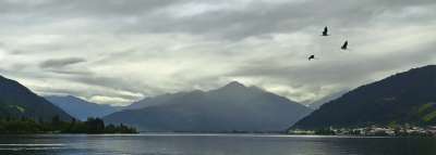 景观 湖 山 鸟 云 阿尔卑斯山 起重机 飞行 离开 秋天