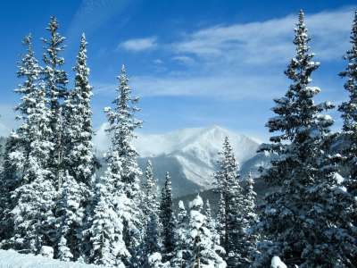 山 树木 雪 冬天 景观 科罗拉多州 美国 顶峰 旅行 户外的