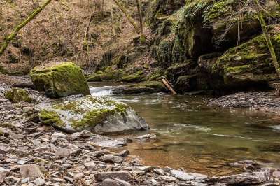 火山石 岩壁 风化 水 苔藓 森林 流动 岩石 移动 河道