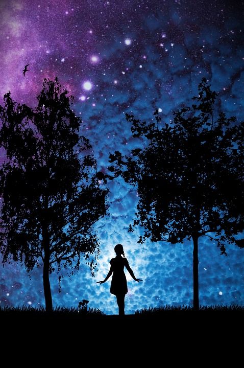 星星 女士 树木 轮廓 女孩 光 神秘 天空 云 气氛 大气
