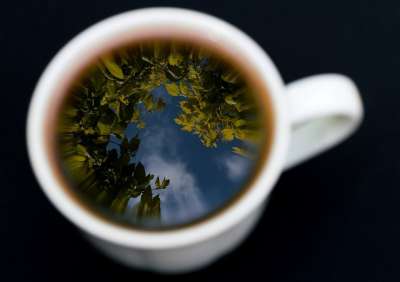 马克杯 杯 杯子 茶 反射 天空 森林 宏 特写 性质