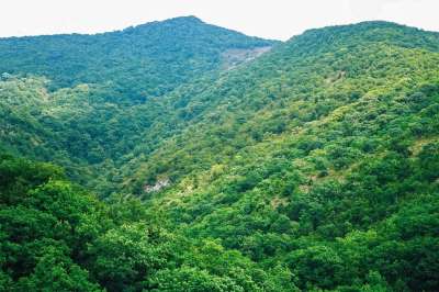 山 夏天 青菜 树木 景观 天空 美容 自然 漫步 旅行