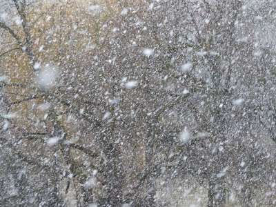 暴风雪 雪 雪花 降雪 吹雪 冬天 寒冷的 薄片 风暴 风