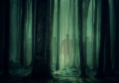 怪异 阴影 轮廓 森林 黑暗的 幽灵般的 可怕的 神秘 夜晚