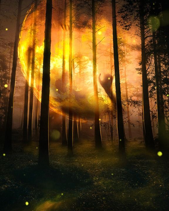 森林 黄色 幻想Photoshop 背景 球 手 阴影 轮廓