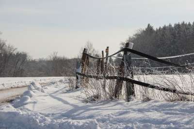 冬天 雪 冬季景观 栅栏 小路 森林 寒冷的 白色的 下雪的