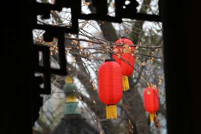 灯笼 中国新的一年 花园 节日 春节 农历新年 春节 春节 春节