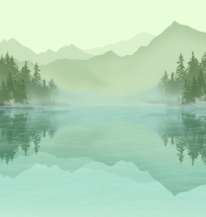湖 山 自然 景观 树木 森林 绿色