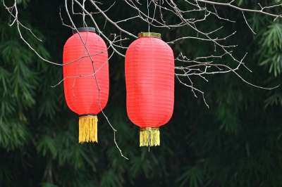 春节 灯笼 节日 森林
