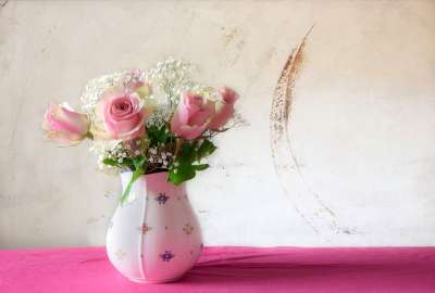 玫瑰 一束花朵 花瓶 静物 粉色的 白色的 背景 花 自然