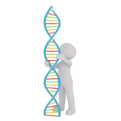 Dna 白人男性 3D 模型 孤立 3D 模型 全身 白色的