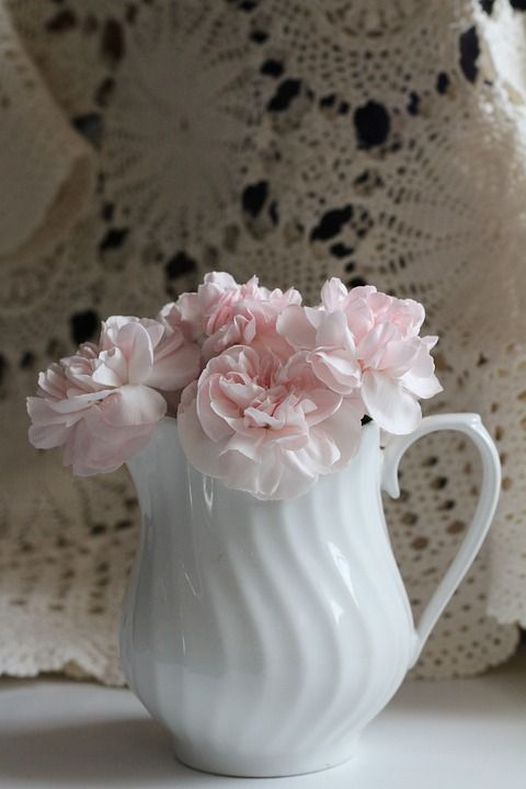 花 粉色的 白色的 花的 花瓣 新鲜的 花束 蕾丝 康乃馨