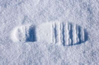 鞋印 雪 印记 冬天 白色的 关闭