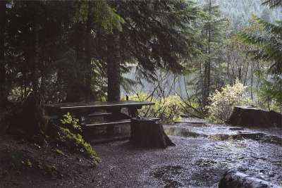 野餐桌 下雨 湿的 树木 泥 污垢 自然