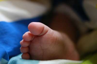 婴儿 腿 新生儿 孩子 宝宝的腿 小的 可爱 人类 皮肤 爱情