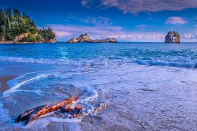 海滩 海 岛 希腊 浅蓝 景观 自然 波浪 水 树干