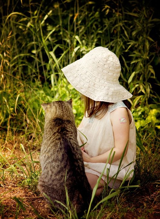 自然 草 户外 夏天 美丽的 女孩 阳光 猫 放松 模型