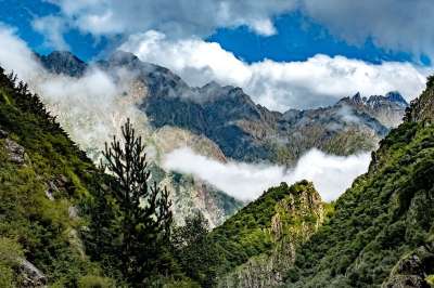 山 云 景观 森林