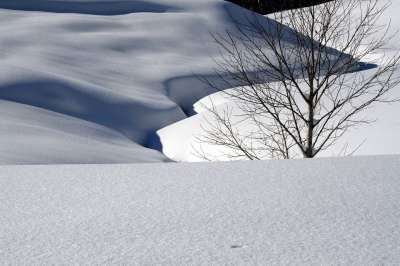 雪 雪景 闪光 太阳 冬天 寒冷的 雪地 冬季景观 瑞士
