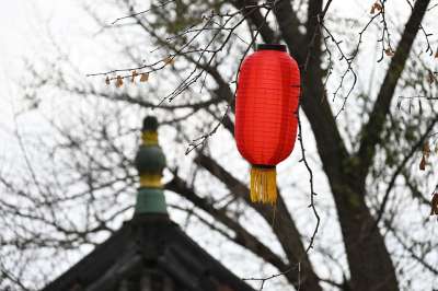 灯笼 中国新的一年 花园 节日 春节 农历新年