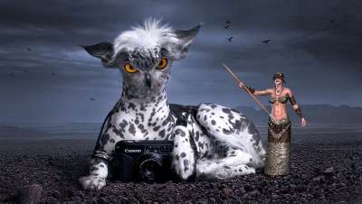 幻想 神秘生物 狗 猫头鹰 童话人物 童话 作曲 女士 现场