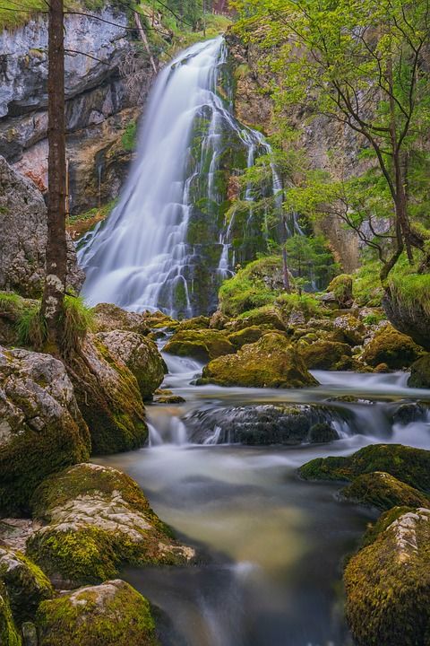 瀑布 戈林瀑布 流动 森林 岩石 石头 水 自然 景观 奥地利