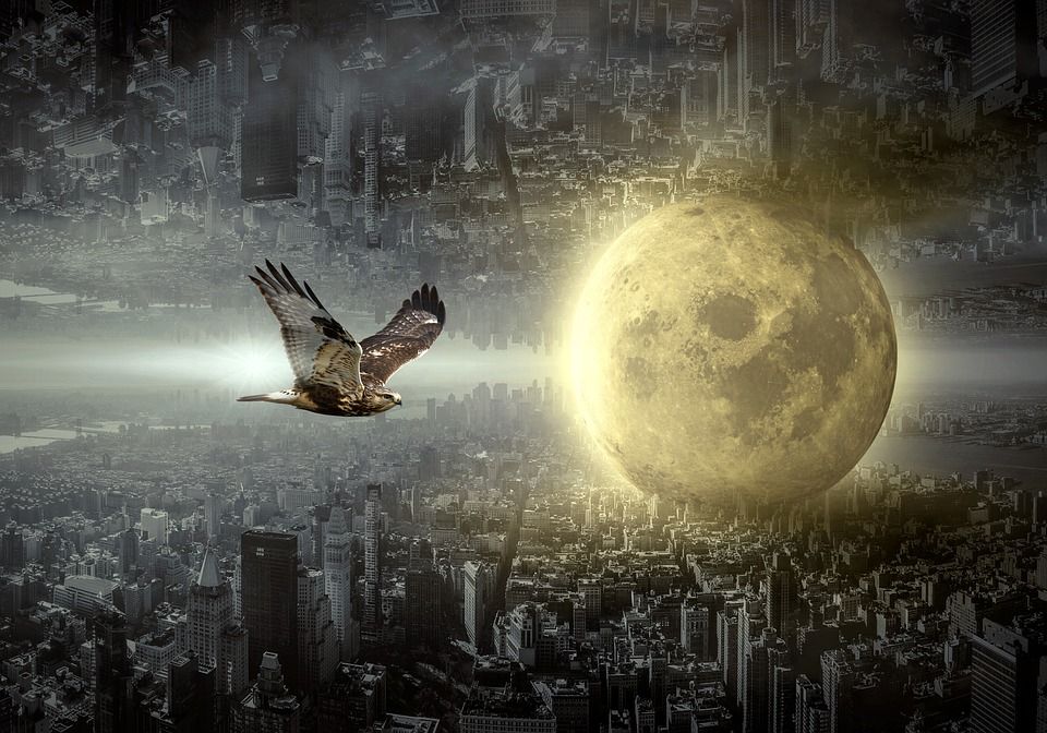 幻想, 城市, 月亮, 鹰, 情绪, 建造, 超现实的, 光, 神秘, 气氛