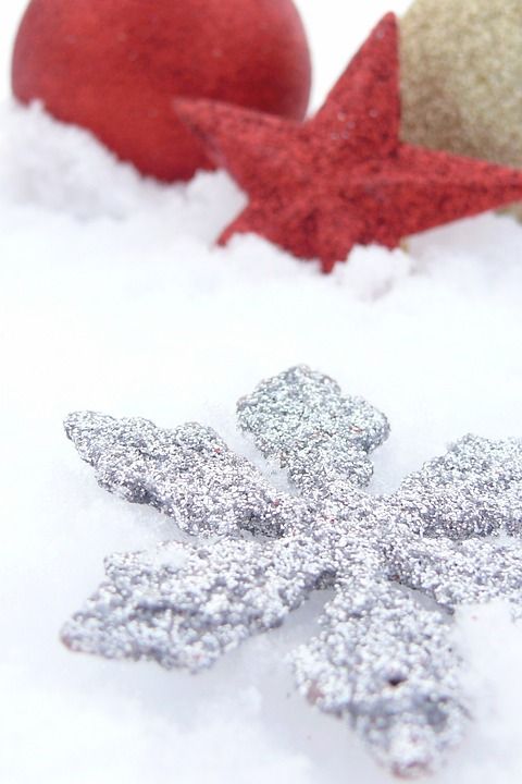 圣诞节 装饰 驯鹿 雪 冬天 天 拳击 树 灯 季节 寒冷的