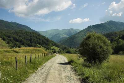 罗马尼亚 景观 山 森林 树木 自然 目睹 户外的 领域 草地