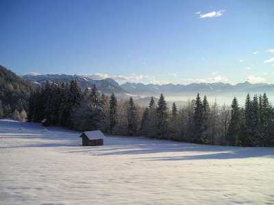 冬天 雪 山 阿尔卑斯山 德国 冬季景观 小屋 森林