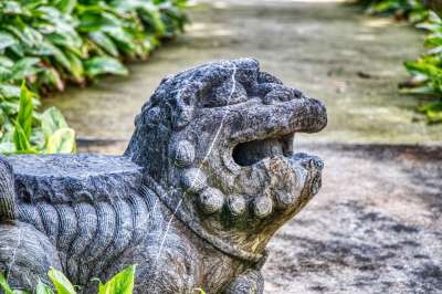 狮子 新加坡 建筑学 亚洲 雕像 现代的 旅游 旅行 文化