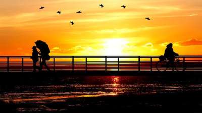 日落 桥 人们 景观 天空 水 黄昏 晚上 海 骑自行车的人