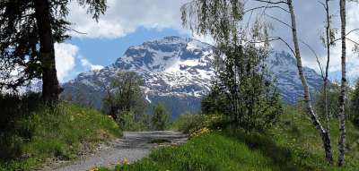 山 草地 夏天 全景 景观 自然 阿尔卑斯山 天堂 草 岩石