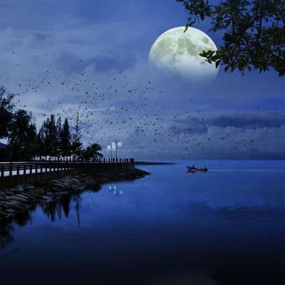 月亮 海 蓝色的 海洋 自然 水 景观 天空 光 夜晚 海滩