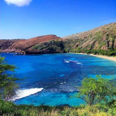 湾 自然 夏威夷 景观 泻湖 场景