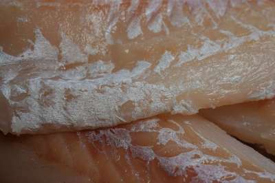 圆角 鱼 生的 新鲜 享受一顿 厨房 好吃 化学需氧量 美食