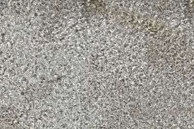 水 冰冷的 冰晶 冻结 溪流 霜 冬天 寒冷的 水晶 冰淇淋
